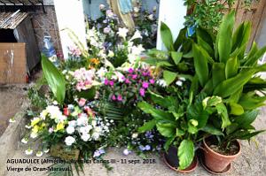 05 AGUADULCE VISITE A LA VIERGE RAMENEE D ORAN MARAVAL (15)
